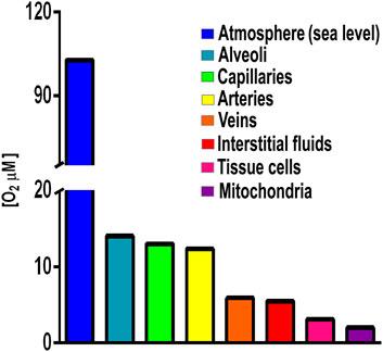 Thriving in Oxygen While Preventing ROS Overproduction: No Two Systems Are Created Equal